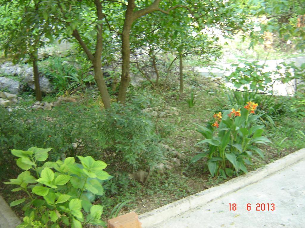 Apartments Dobrisa Котор Экстерьер фото